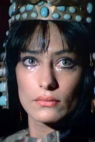 Maria Grazia Smaldone portrait
