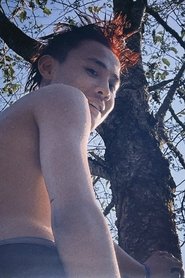 高小康 portrait