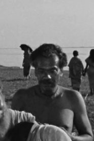Mesbah Ahmed portrait