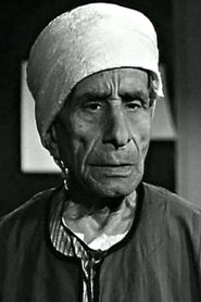 Ali Kamal portrait