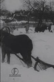 The Great Blizzard in the Baltics in December