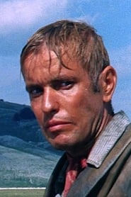 Luciano Rossi portrait