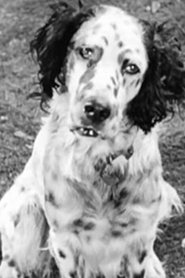 Banjo portrait
