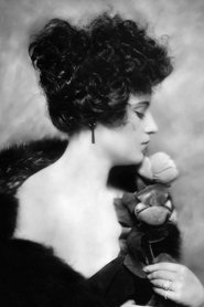 Yvonne Shelton portrait