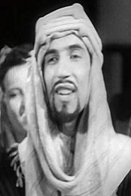 عبده السروجي portrait