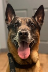 Bragi portrait