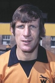 Dave Woodfield portrait