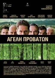 Movie Picture