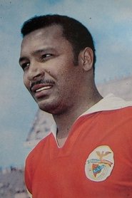 Mário Coluna portrait