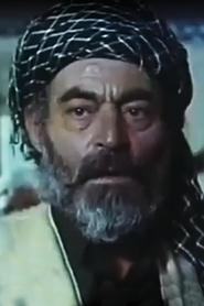 Nariman Shirifard portrait