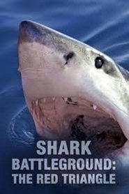 Shark Battleground: Red Triangle poster