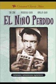 El niño perdido poster