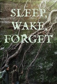 Sleep, Wake, Forget poster