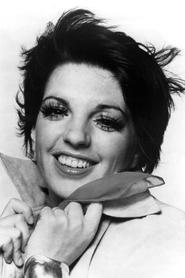 Liza Minnelli portrait