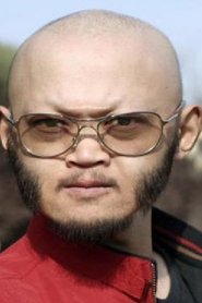 Hu Fei portrait