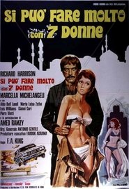 You Can Do a Lot with 7 Women poster