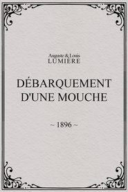 Lyon: Débarquement d'une mouche poster