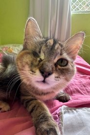 Nini da Silveira portrait