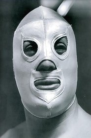 El Santo portrait