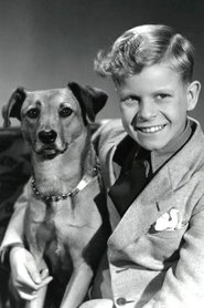 Tom Rindom Thomsen portrait