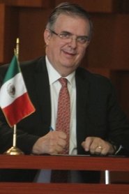 Marcelo Ebrard portrait