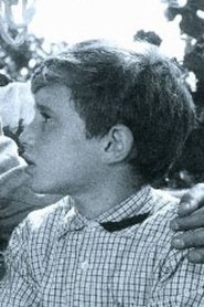 Giancarlo Damiani portrait