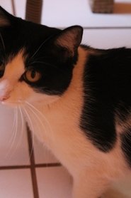 Gustavinha portrait