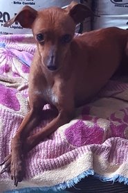 Magrelo portrait