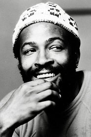 Marvin Gaye portrait