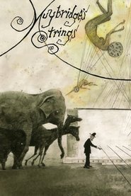 Muybridge's Strings poster