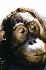 Manis portrait