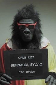 Sylvio Bernardi portrait