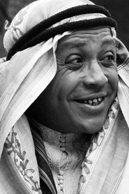 Hédi Semlali portrait