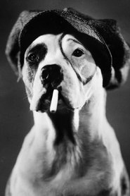 Pete the Dog portrait