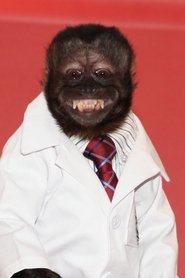 Crystal the Monkey portrait
