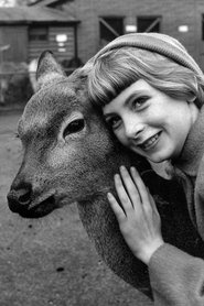 Jacqueline Ryan portrait