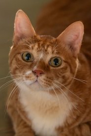 Geumdong-i portrait