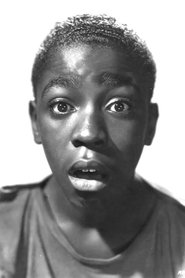 Paul White portrait