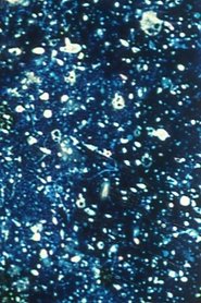 Ephemeral Solidity poster