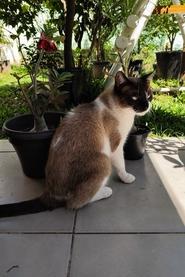 Miamia portrait