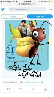 Movie Picture