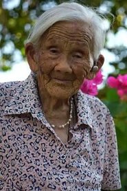Wei Shaolan portrait
