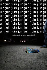Juin ou  (Les chats ne payent pas de taxes)