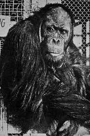 Joe Martin portrait