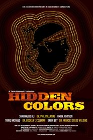 Hidden Colors poster