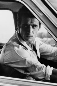 Guido Mannari portrait