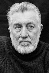 Peter Boom portrait