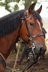 Finder's Key portrait