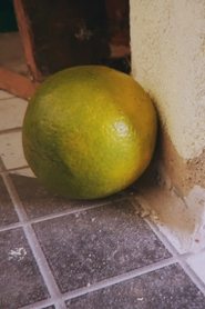 Laranja portrait