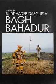 The Tiger Dancer poster